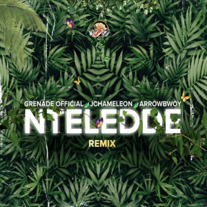 Album Nteredde (Remix) from Grenade Official