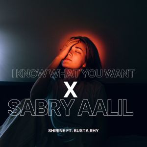 ดาวน์โหลดและฟังเพลง I know what you want x Sabry Aalil พร้อมเนื้อเพลงจาก SHIRINE
