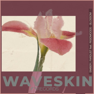 Album Blossom from Simber