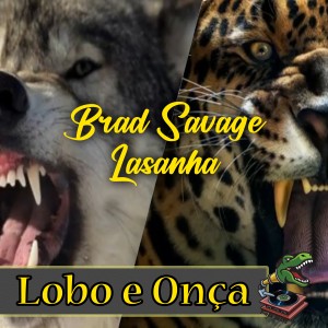 Listen to Lobo e Onça song with lyrics from Brad Savage