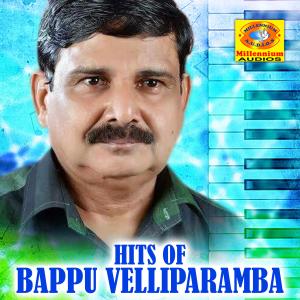Listen to Poomanavatty song with lyrics from Rabeeyulla