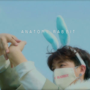 Album AntiVirus oleh Anatomy Rabbit