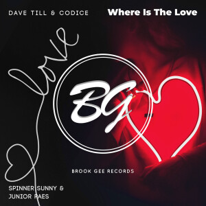 ดาวน์โหลดและฟังเพลง Where Is The Love (Original Mix) พร้อมเนื้อเพลงจาก Dave Till