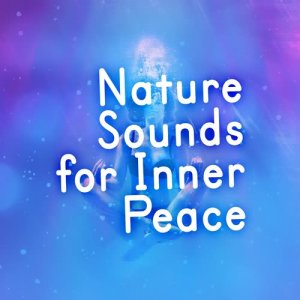 ดาวน์โหลดและฟังเพลง Stream with Birds พร้อมเนื้อเพลงจาก Nature Sounds 2015