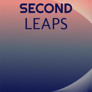 Various Artists的專輯Second Leaps