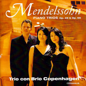 ดาวน์โหลดและฟังเพลง Piano Trio No. 1 in D Minor, Op. 49: I. Molto allegro agiato พร้อมเนื้อเพลงจาก Trio Con Brio Copenhagen