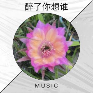 收聽火焱金鑫的醉了你想誰歌詞歌曲