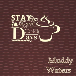 ดาวน์โหลดและฟังเพลง I Feel So Good พร้อมเนื้อเพลงจาก Muddy Waters
