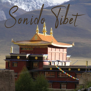 Album Sonido Tibet from Elof Sunflower