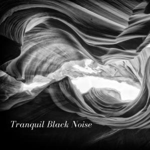 Dengarkan Tranquil Black Noise lagu dari Dreams of Dreams dengan lirik