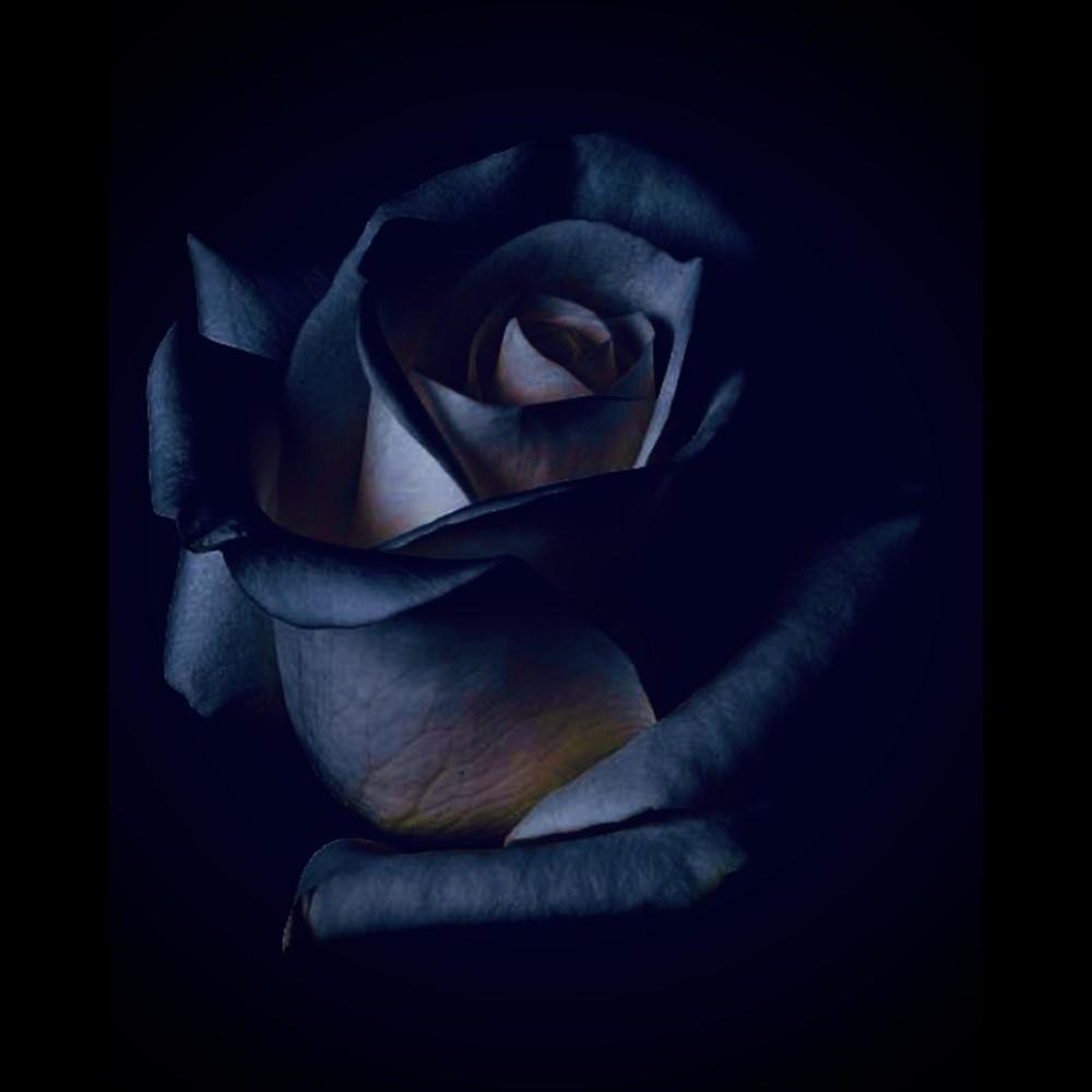 An old Demo audio revised