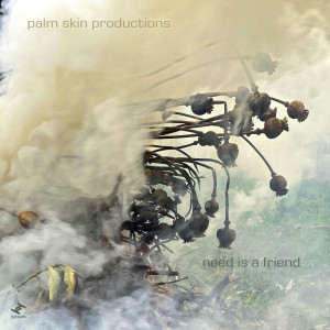 Album Need Is A Friend oleh Palm Skin Productions
