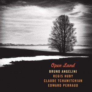 Bruno Angelini的專輯Open Land