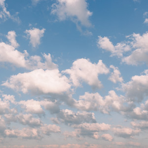 Listen to Wind song with lyrics from Rain Sounds