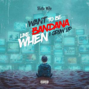 Listen to I WANT TO BE LIKE BANDANA (Explicit) song with lyrics from Shatta Wale