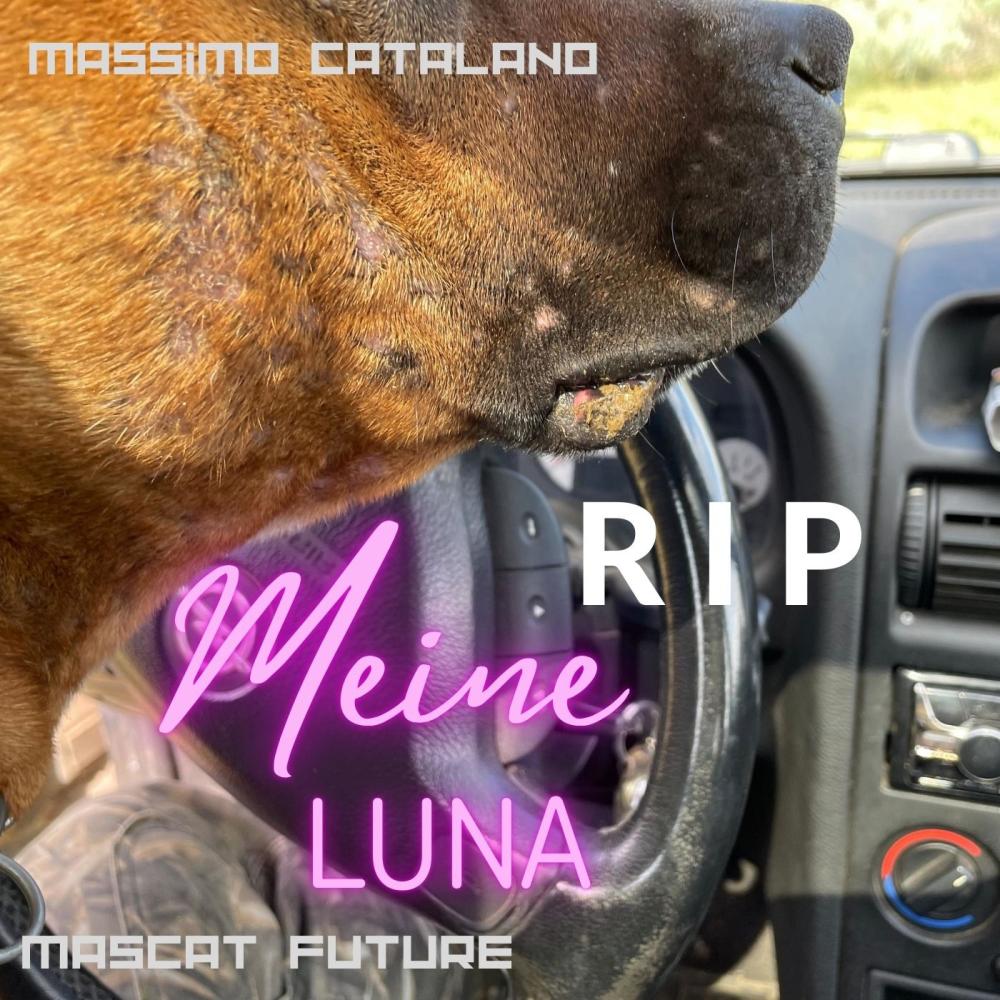 Meine Luna (Explicit)