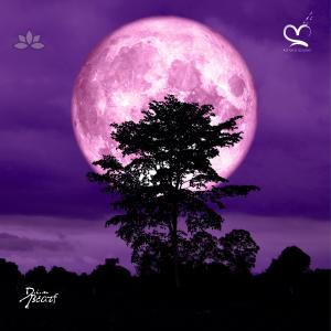 收聽Arándano的Meia Noite (feat. Jazzy Rhodes & Din Beats)歌詞歌曲