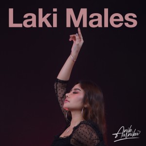 Dengarkan lagu Laki Males nyanyian Anik Arnika dengan lirik
