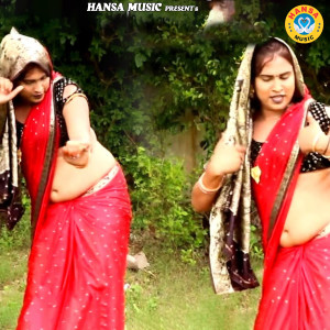 Album Mohan Nandlal Mero Dil Le Gaye from Nitesh Yadav