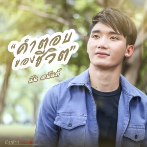 收听นัน อนันต์的คำตอบของชีวิต歌词歌曲