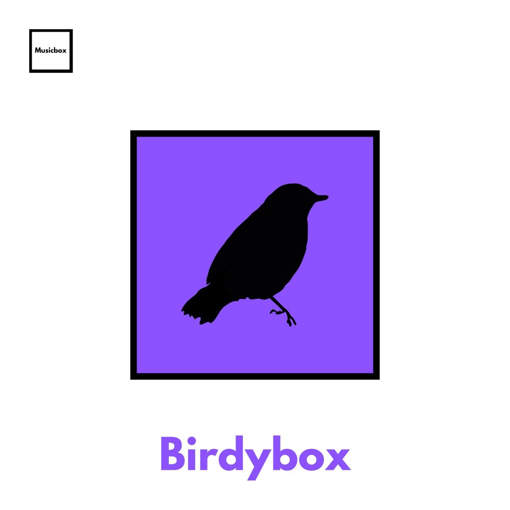 Birdybox (Loopable, no fade)