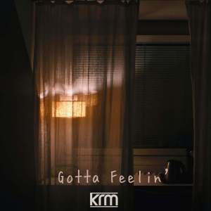 Album Gotta Feelin' from KARIMA