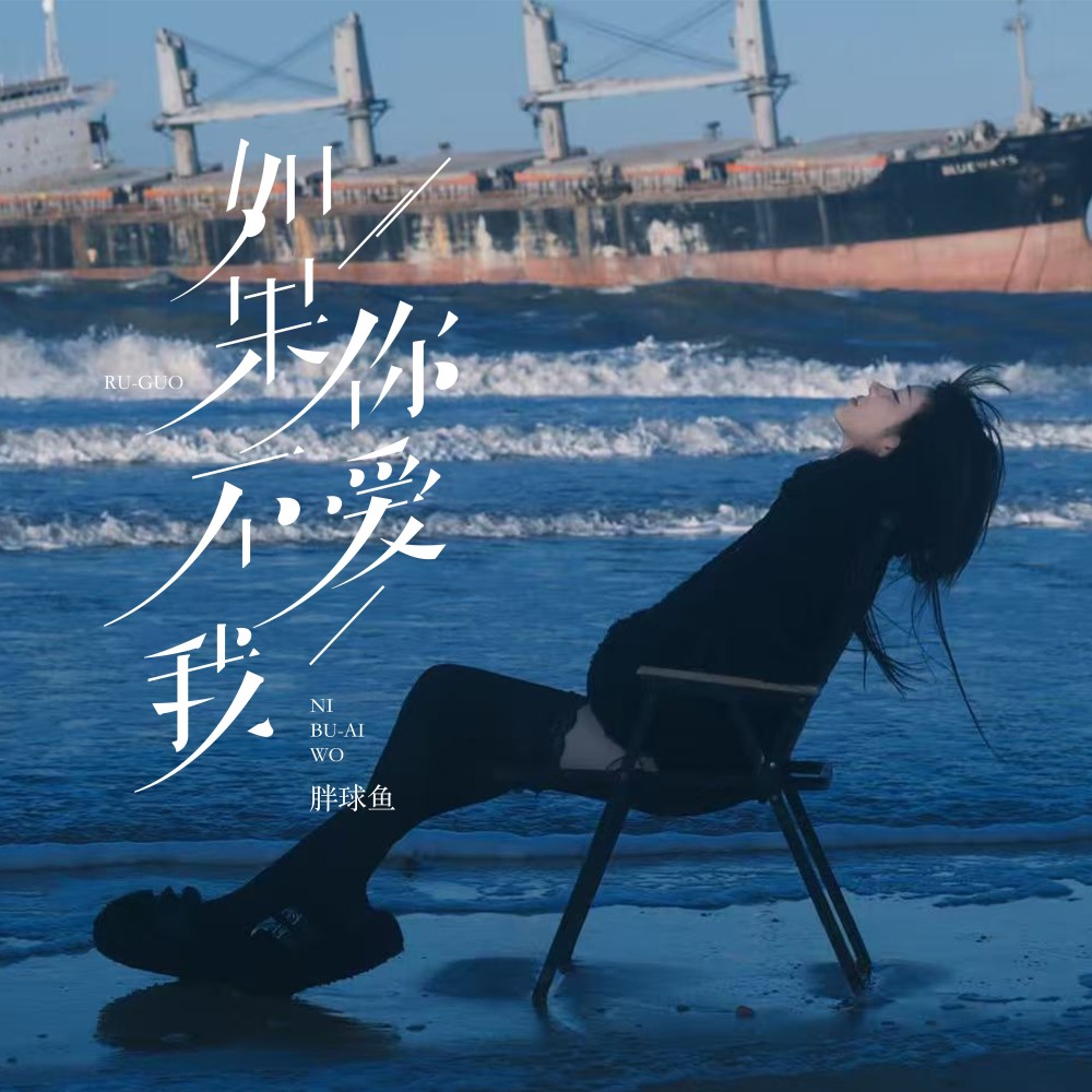 如果你不爱我（DJ版） (完整版)