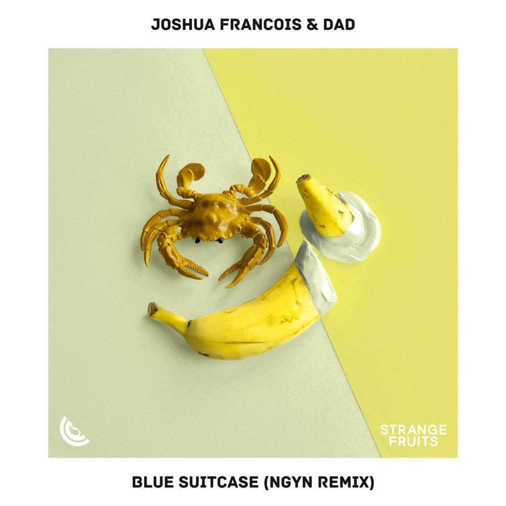 Blue Suitcase (Ngyn Remix)