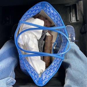 ดาวน์โหลดและฟังเพลง GOYARD (Explicit) พร้อมเนื้อเพลงจาก DODO