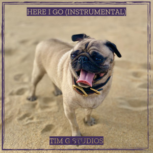 Album Here I Go (Instrumental) from Tim G Studios