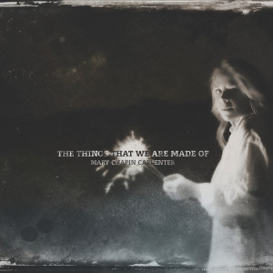 ดาวน์โหลดและฟังเพลง Something Tamed Something Wild พร้อมเนื้อเพลงจาก Mary Chapin Carpenter