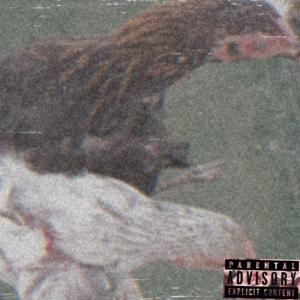 BandGang Lonnie Bands的專輯Provisions (Explicit)