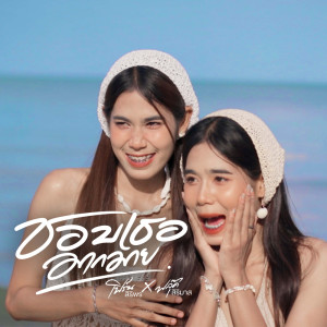 Album ชอบเธอมากมาย - Single oleh ฟลุ๊ค สิริมาส