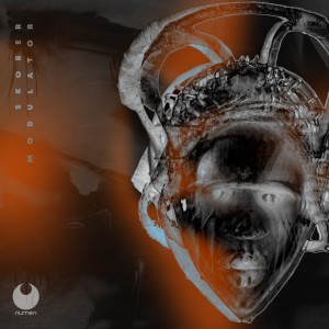 收听Skober的Modulator歌词歌曲