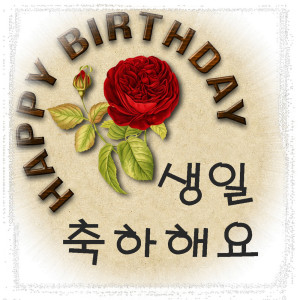 Dengarkan lagu Happy Birthday nyanyian Hong Soonyoung dengan lirik