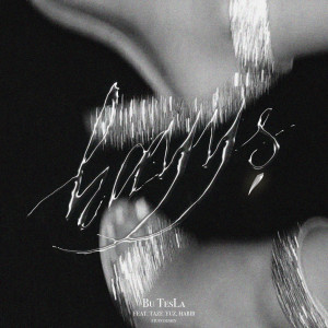 Listen to haýyş song with lyrics from Bu TesLa