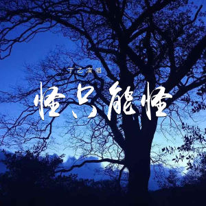 Album 怪只能怪 from 丁乙