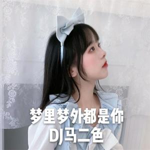 Album 梦里梦外都是你 from 阿吉野驴