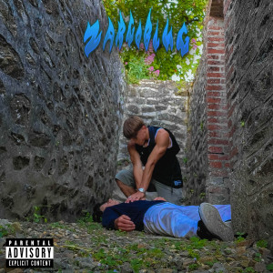 Zargoblug的专辑PÈTE MA TÊTE CONTRE LE SOL (Explicit)