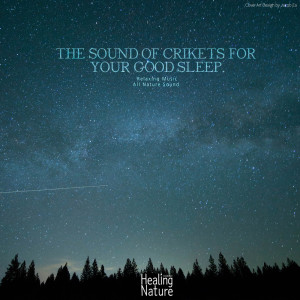 Listen to Camping Sounds Heard in The Office song with lyrics from 힐링 네이쳐 Nature Sound Band