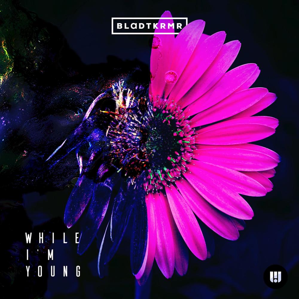 While I'm Young (Toomanylefthands Remix)