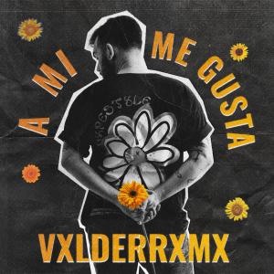 收聽Valderrama的A mi me gusta歌詞歌曲