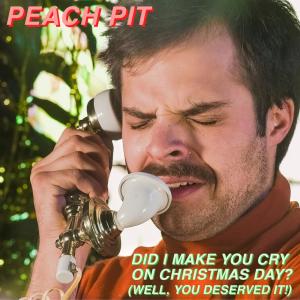 ดาวน์โหลดและฟังเพลง Did I Make You Cry on Christmas Day? (Well, You Deserved it!) พร้อมเนื้อเพลงจาก Peach Pit