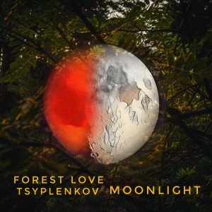 收聽Tsyplenkov的Moonlight (Original)歌詞歌曲
