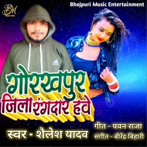 Listen to Gorakhpur Jila Randar Have song with lyrics from Shailesh Yadav