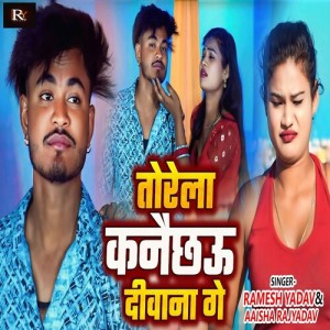 Listen to Torela Kanaichhau Deewana Ge song with lyrics from Ramesh Yadav