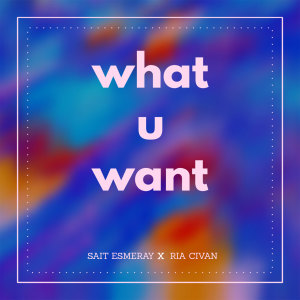 Dengarkan lagu What U Want nyanyian Sait Esmeray dengan lirik