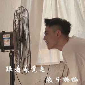 อัลบัม 跟着感觉走 ศิลปิน DJ老鹏