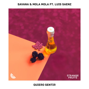 收聽Savana的Quiero Sentir (feat. Luis Sáenz)歌詞歌曲