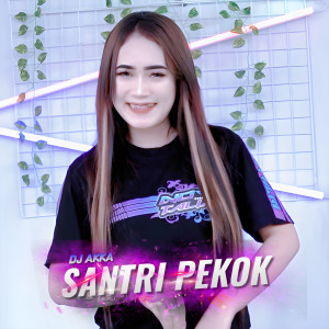 Dengarkan Santri Pekok lagu dari DJ AKKA dengan lirik